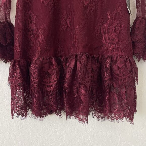 Lulus Whimsigoth Mini Dress Size S Burgendy Red Babydoll Lace Dark Romantic Vamp - Picture 7 of 16